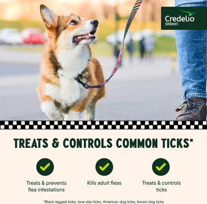 Show full view: Credelio Chewable Tablet for Dogs, 12.1-25 lbs, (Orange Box), 1 Chewable Tablet (1-mo. supply) slide 4 of 10