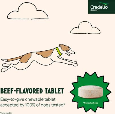 Show full view: Credelio Chewable Tablet for Dogs, 12.1-25 lbs, (Orange Box), 1 Chewable Tablet (1-mo. supply) slide 5 of 10