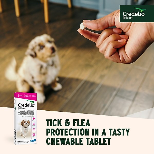 Credelio Chewable Tablet for Dogs, 6.1-12 lbs, (Pink Box)