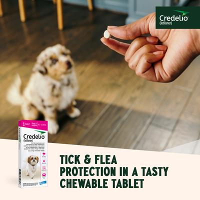 Show full view: Credelio Chewable Tablet for Dogs, 6.1-12 lbs, (Pink Box), 1 Chewable Tablet (1-mo. supply) slide 7 of 10