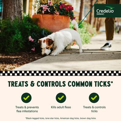 Show full view: Credelio Chewable Tablet for Dogs, 6.1-12 lbs, (Pink Box), 3 Chewable Tablets (3-mos. supply) slide 4 of 10