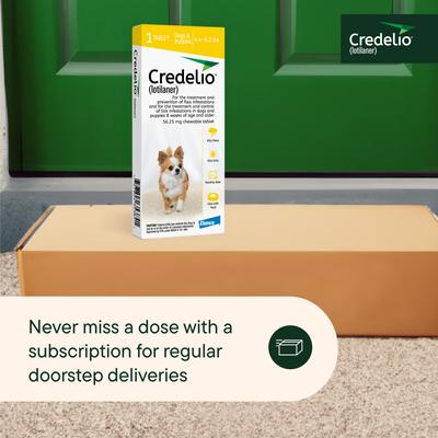 Show full view: Credelio Chewable Tablet for Dogs, 4.4-6 lbs, (Yellow Box), 1 Chewable Tablet (1-mo. supply) slide 8 of 10
