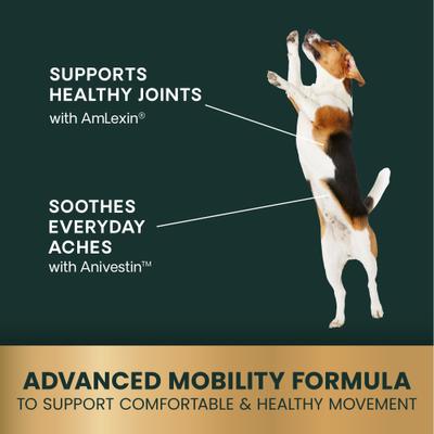 Show full view: VetriScience Max Veterinary Strength Comfort & Ease Amilextin Chicken Flavored Soft Chew Joint Supplement for Dogs, 60 count slide 7 of 11