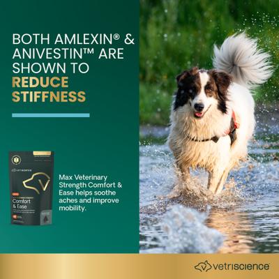 Show full view: VetriScience Max Veterinary Strength Comfort & Ease Amilextin Chicken Flavored Soft Chew Joint Supplement for Dogs, 60 count slide 4 of 11