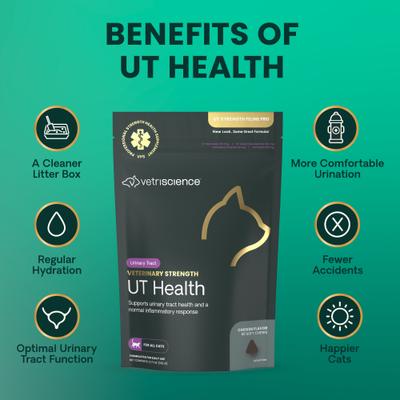 Show full view: VetriScience Veterinary Strength UT Health UT Strength Pro Chicken Flavored Soft Chew Urinary Supplement for Cats, 90 count slide 7 of 11
