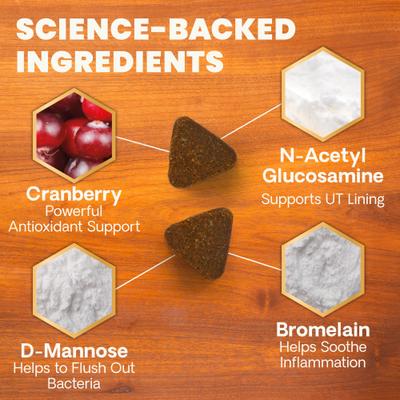 Show full view: VetriScience Veterinary Strength UT Health UT Strength Pro Chicken Flavored Soft Chew Urinary Supplement for Cats, 90 count slide 5 of 11