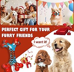Kseroo Nylon Bone Shaped Bacon Flavored Dog Chew Toy, Red, 2 count slide 2 of 8