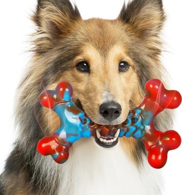 Show full view: Kseroo Nylon Bone Shaped Chicken Flavored Dog Chew Toy, Red, 2 count slide 2 of 10