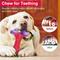 Show in main carousel: Kseroo Nylon Bone Shaped Chicken Flavored Dog Chew Toy, Red, 1 count slide 5 of 8