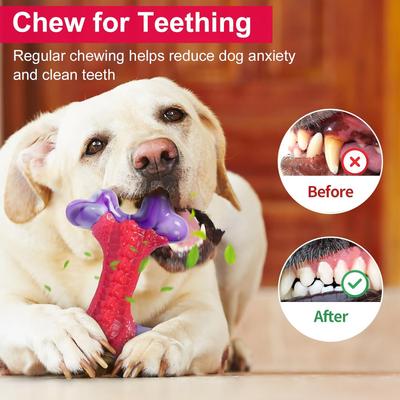 Show full view: Kseroo Nylon Bone Shaped Chicken Flavored Dog Chew Toy, Red, 1 count slide 5 of 8