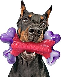 Kseroo Nylon Bone Shaped Chicken Flavored Dog Chew Toy, Red, 1 count