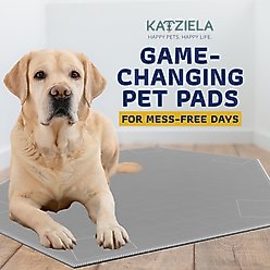 Katziela Ultra Strong Grip Washable Hexagon Dog Pee Pads, 36 x 41-in, 2 count slide 2 of 9