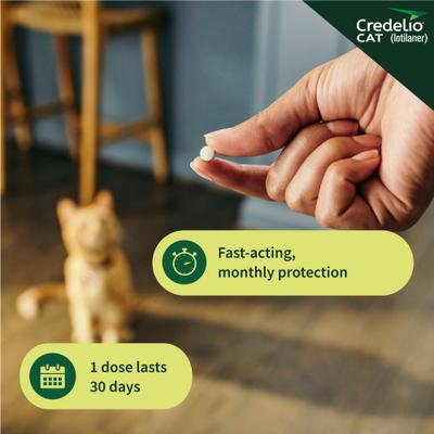 Credelio Chewable Tablets for Cats, 4.1-17 lbs, (Teal Box)