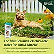 Show in main carousel: Credelio Chewable Tablets for Cats, 4.1-17 lbs, (Teal Box), 6 Chewable Tablets (6-mos. supply) slide 5 of 10