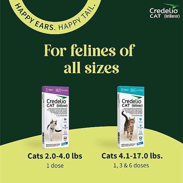 Show full view: Credelio Chewable Tablets for Cats, 4.1-17 lbs, (Teal Box), 6 Chewable Tablets (6-mos. supply) slide 9 of 10