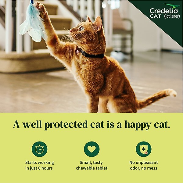 Show full view: Credelio Chewable Tablets for Cats, 4.1-17 lbs, (Teal Box), 6 Chewable Tablets (6-mos. supply) slide 3 of 10