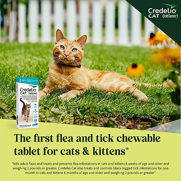 Credelio Chewable Tablets for Cats, 4.1-17 lbs, (Teal Box)