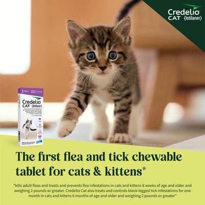 Show full view: Credelio Chewable Tablets for Cats, 2-4 lbs, (Purple Box), 1 Chewable Tablet (1-mo. supply) slide 5 of 10