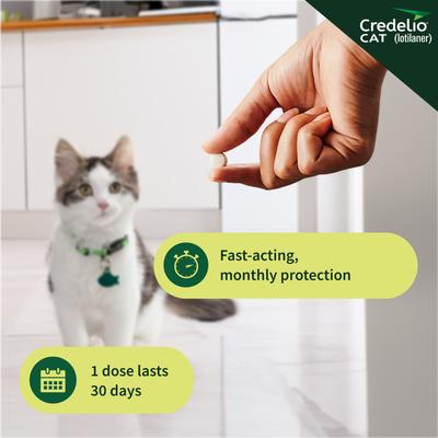 Show full view: Credelio Chewable Tablets for Cats, 2-4 lbs, (Purple Box), 1 Chewable Tablet (1-mo. supply) slide 6 of 10