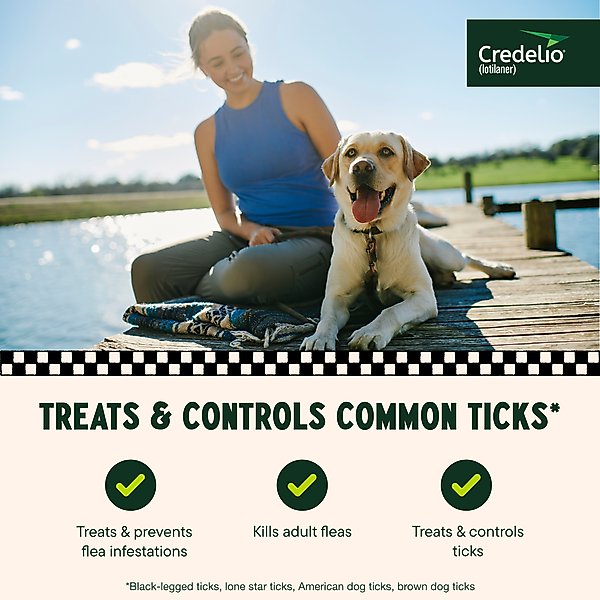 Credelio Chewable Tablet for Dogs, 50.1-100 lbs, (Blue Box)