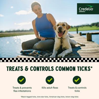 Show full view: Credelio Chewable Tablet for Dogs, 50.1-100 lbs, (Blue Box), 3 Chewable Tablets (3-mos. supply) slide 4 of 10