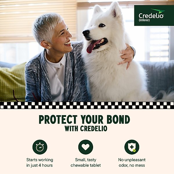 Credelio Chewable Tablet for Dogs, 50.1-100 lbs, (Blue Box)