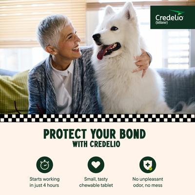 Show full view: Credelio Chewable Tablet for Dogs, 50.1-100 lbs, (Blue Box), 3 Chewable Tablets (3-mos. supply) slide 3 of 10