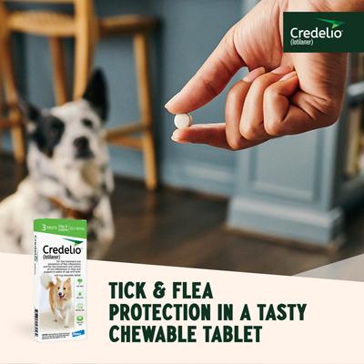 Show full view: Credelio Chewable Tablet for Dogs, 25.1-50 lbs, (Green Box), 3 Chewable Tablets (3-mos. supply) slide 7 of 9