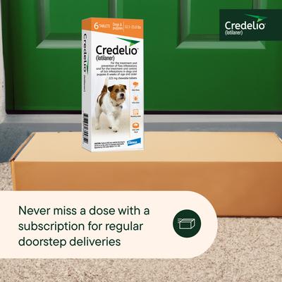 Show full view: Credelio Chewable Tablet for Dogs, 12.1-25 lbs, (Orange Box), 6 Chewable Tablets (6-mos. supply) slide 8 of 10