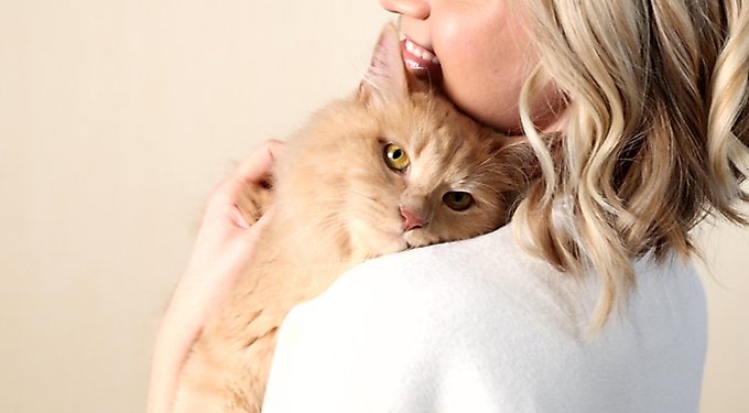 Hartz Delectables Squeeze Up Complete & Balanced Chicken Lickable Kitten Treats