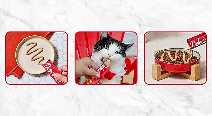 Hartz Delectables Squeeze Up Complete & Balanced Chicken Lickable Kitten Treats