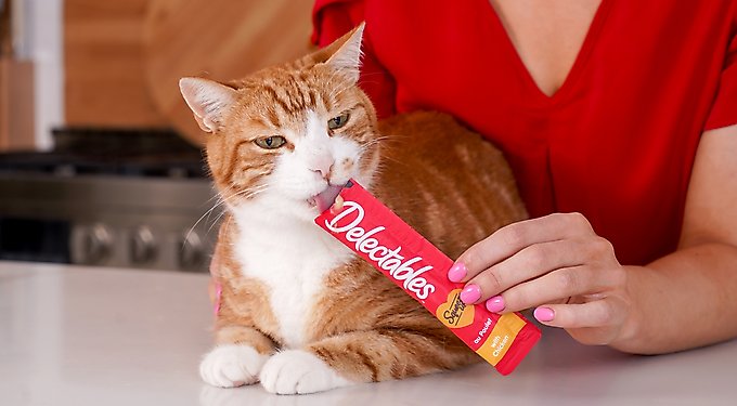 Hartz Delectables Squeeze Up Complete & Balanced Chicken Lickable Kitten Treats