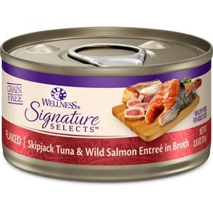 Beyond Grain Free Wild Salmon, Wet Cat Food 85g | Walmart Canada