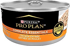 Purina Pro Plan Adult Chicken Entree in Gravy Canned Cat Food, 5.5-oz can, case of 4