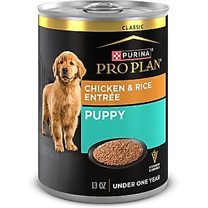 Purina Pro Plan Development Puppy Chicken & Rice Entree Canned Dog Food, 13-oz can, case of 4