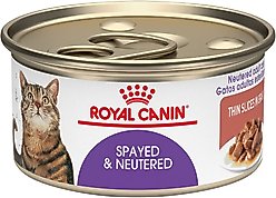 Royal Canin Feline Health Nutrition Spayed/Neutered Thin Slices in Gravy Canned Cat Food, 3-oz, case of 4