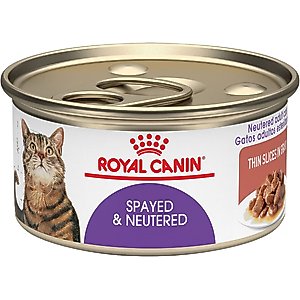Royal Canin Feline Health Nutrition Spayed/Neutered Thin Slices in Gravy Canned Cat Food, 3-oz, case of 4