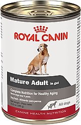 Royal Canin Mature Adult in Gel Canned Dog Food, 13.5-oz, case of 4