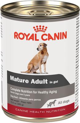 ROYAL CANIN Mature Adult in Gel Canned Dog Food, case of 