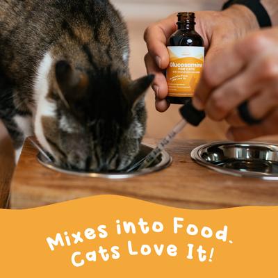 Show full view: Paramount Pet Health Glucosamine Hip & Joint Supplement for Cats, 2-fl oz slide 9 of 10