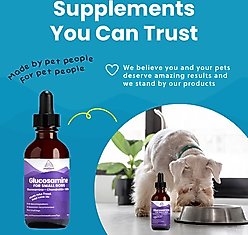Paramount Pet Health Glucosamine Hip & Joint Supplement for Small Dogs, 2-fl oz slide 2 of 9