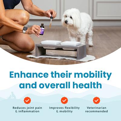 Show full view: Paramount Pet Health Glucosamine Hip & Joint Supplement for Small Dogs, 2-fl oz slide 7 of 11