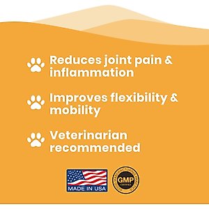 Paramount Pet Health Glucosamine Hip & Joint Supplement for Cats, 2-fl oz