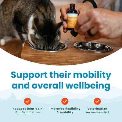 Show full view: Paramount Pet Health Glucosamine Hip & Joint Supplement for Cats, 2-fl oz slide 7 of 10