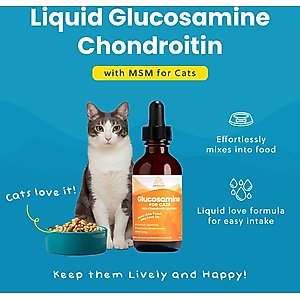 Paramount Pet Health Glucosamine Hip & Joint Supplement for Cats, 2-fl oz