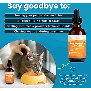 Paramount Pet Health Glucosamine Hip & Joint Supplement for Cats, 2-fl oz