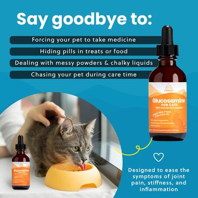 Show full view: Paramount Pet Health Glucosamine Hip & Joint Supplement for Cats, 2-fl oz slide 5 of 10