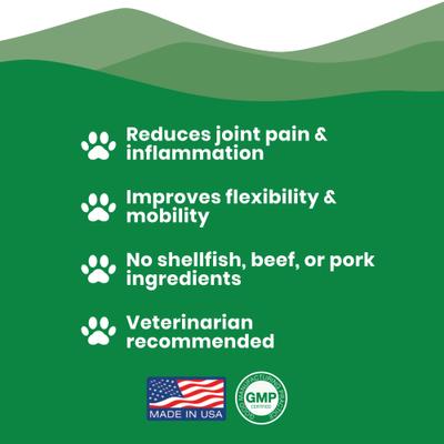 Show full view: Paramount Pet Health Vegetarian Hip & Joint Supplement for Dogs, 32-fl oz bottle slide 10 of 10