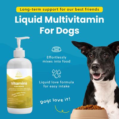 Show full view: Paramount Pet Health Liquid Vitamins Skin & Coat Support Dog Supplement, 16-fl oz bottle slide 6 of 11