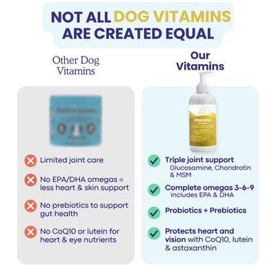 Show full view: Paramount Pet Health Liquid Vitamins Skin & Coat Support Dog Supplement, 16-fl oz bottle slide 4 of 11